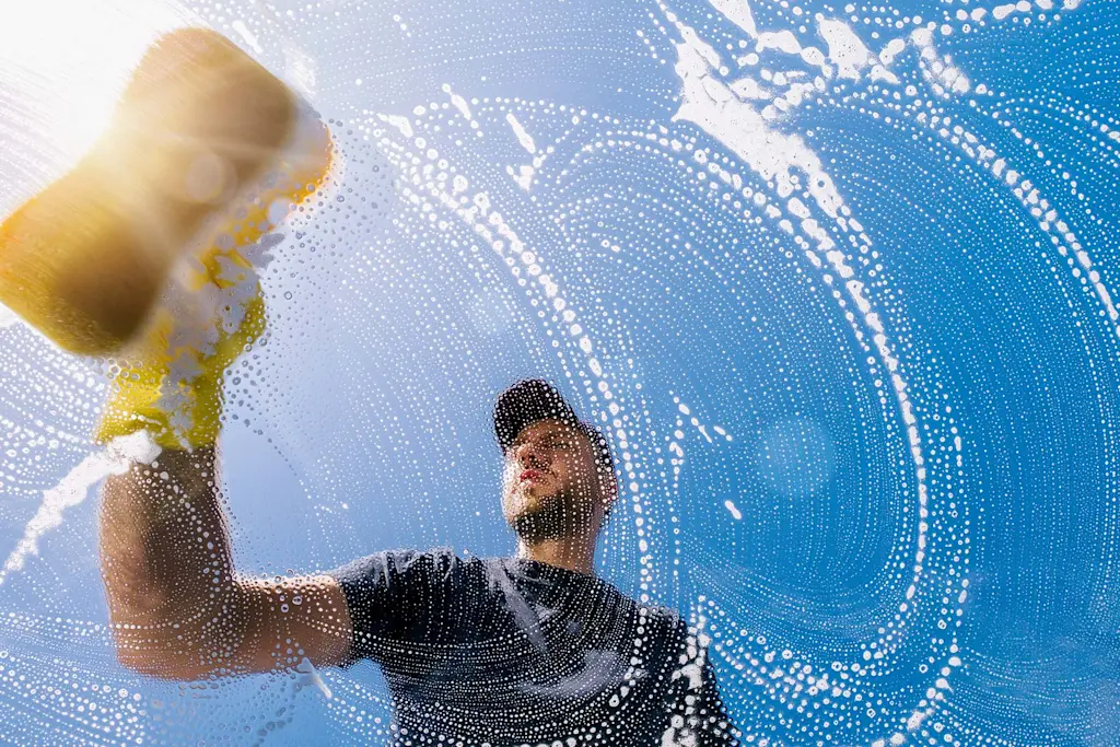 Professional Window Cleaning Service